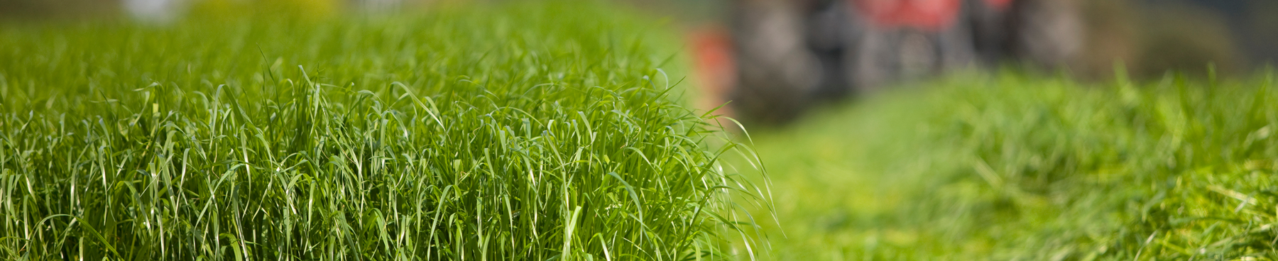 Header_Grundfutter_shutterstock_1846406158
